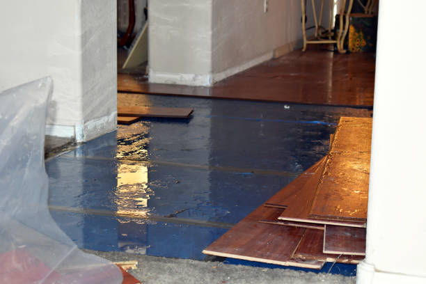 Professional Sewage Cleanup technician working in Wells, ME